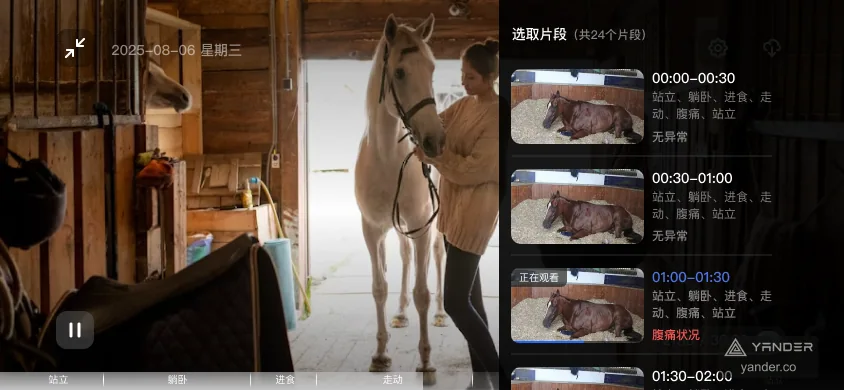 AI 马匹行为事件回看界面