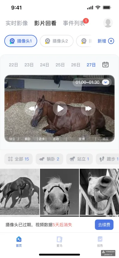AI 马匹监测 App 录像回看页面