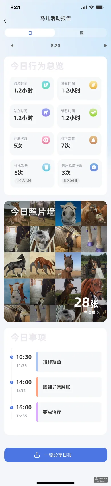AI 马匹监测 App AI 行为分析日报