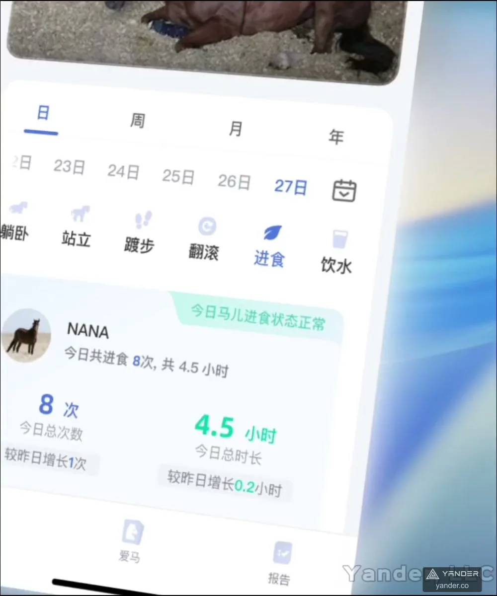 AI 马匹行为监测与异常预警 App